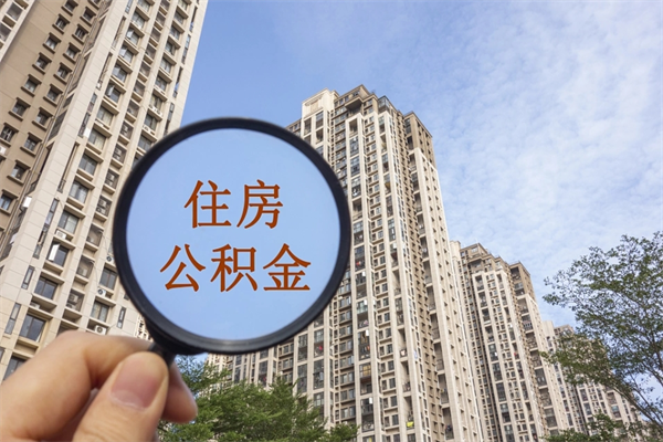 绥化怎么取住房住房公积金（取住房公积金方法）